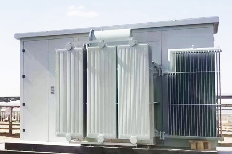 林芝风力/光伏变电站